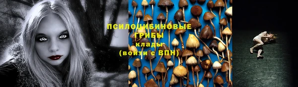 стаф Баксан