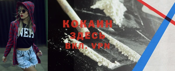 стаф Баксан