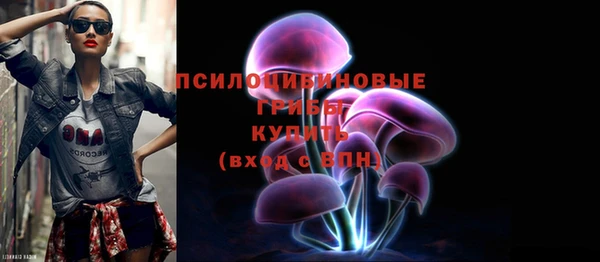 стаф Баксан