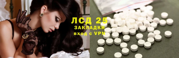 стаф Баксан