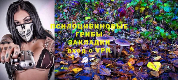 стаф Баксан