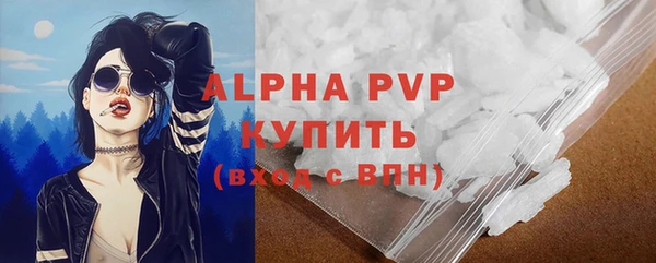 стаф Баксан